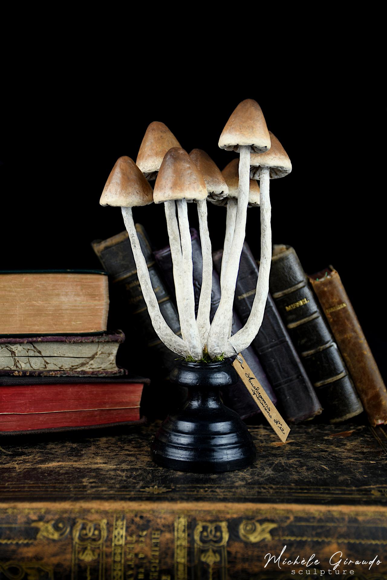 Le Coffret aux Champignons Sculpture de champignons en papier mâché Art  cabinet de curiosités