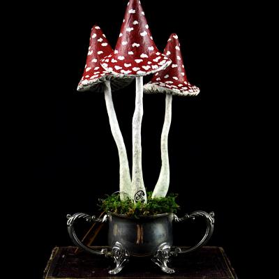 Mushrooms specimens n 18 par michele giraudo