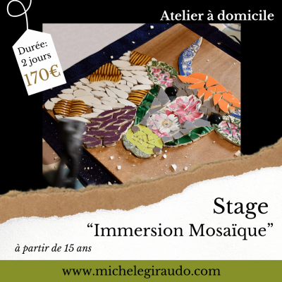 Stage immersion mosaique